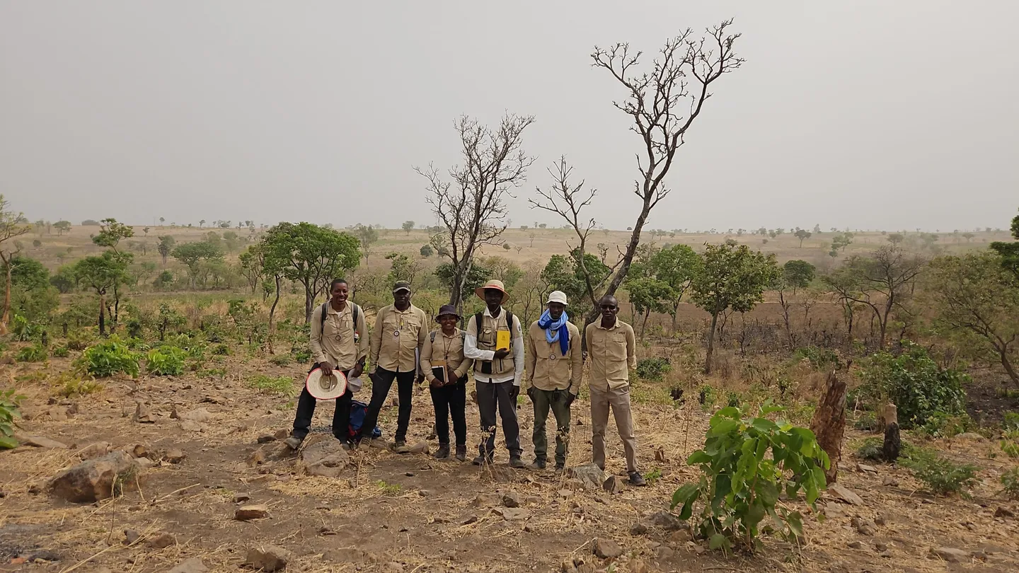 Oriole Resources progresse sur l'or au Cameroun avec des résultats prometteurs sur le package CLP Est