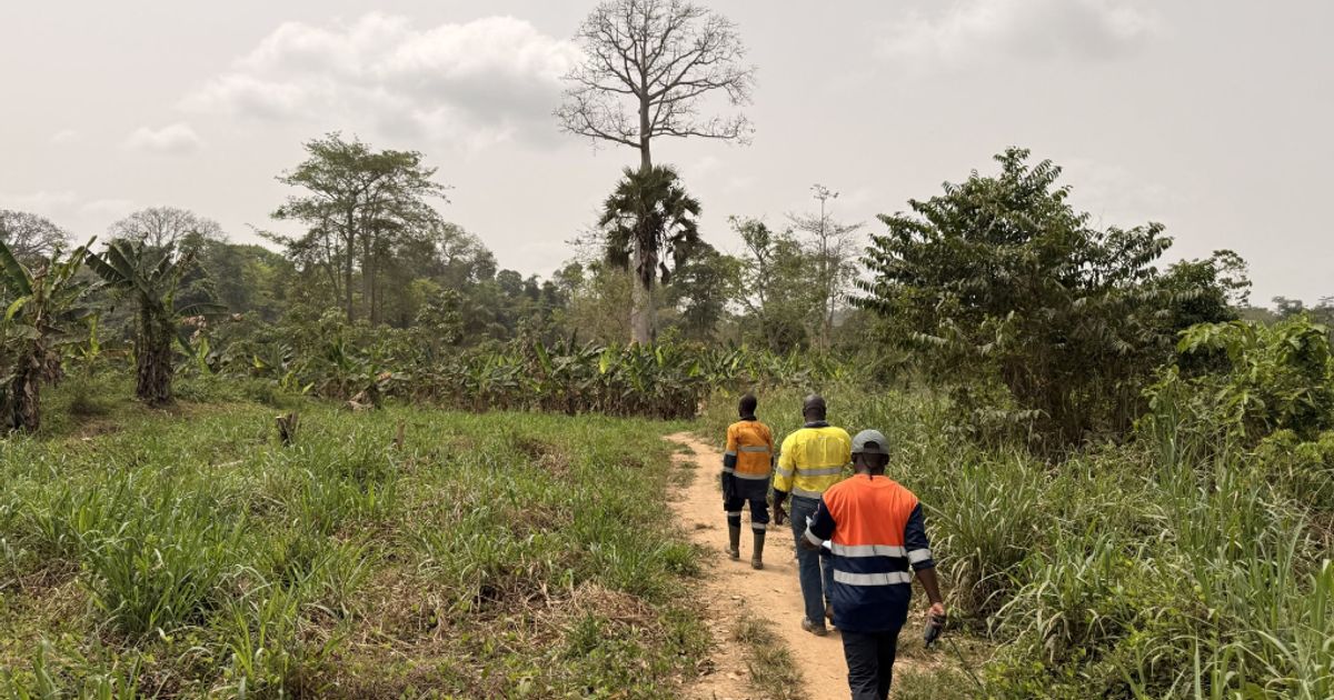 Dalaroo Metals découvre un corridor aurifère de 4,3 km à Bondoukou en Côte d'Ivoire